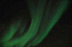 DSC_02950118_thumb.png