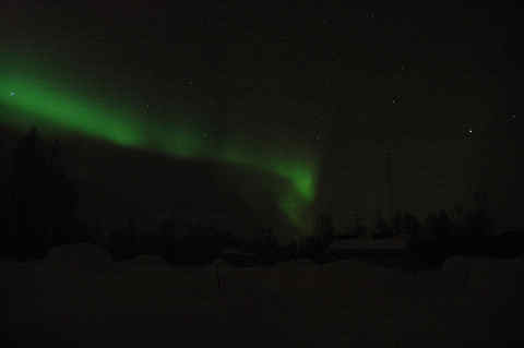 DSC_25110004.jpg