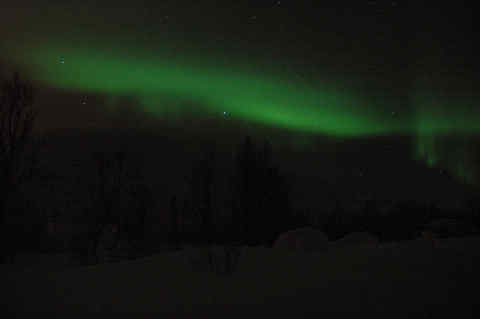 DSC_25120005.jpg