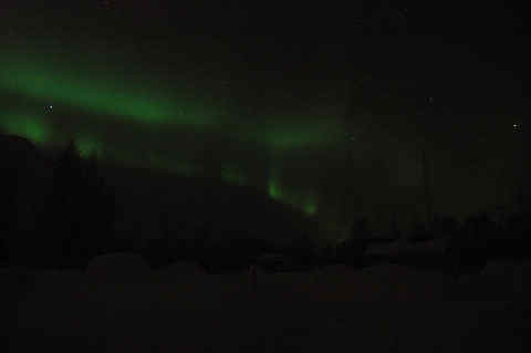 DSC_25160007.jpg