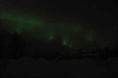DSC_25170008.jpg