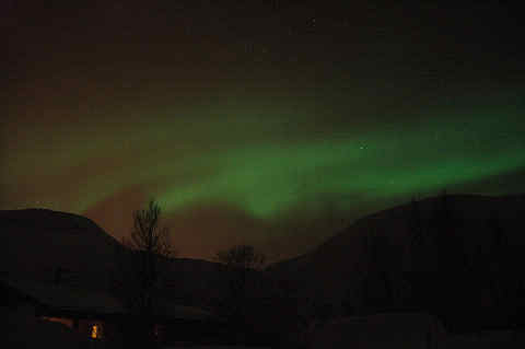 DSC_25180009.jpg