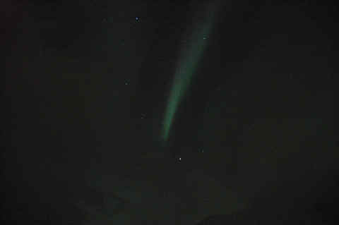 DSC_29810005.jpg