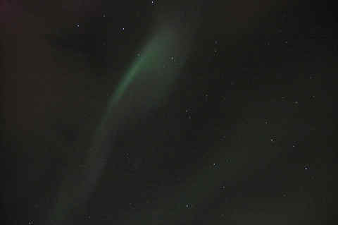 DSC_29860010.jpg