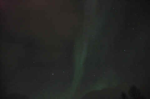 DSC_29880011.jpg