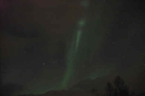 DSC_29890012.jpg