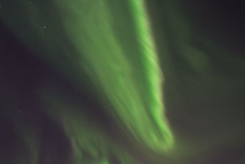 DSCF0254