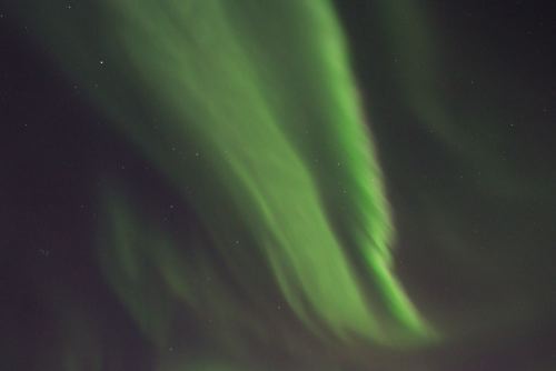 DSCF0256