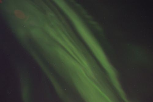 DSCF0260