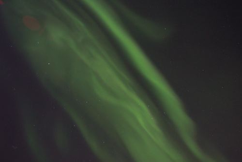 DSCF0261