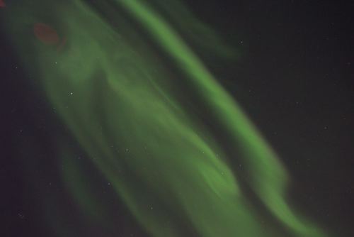 DSCF0262