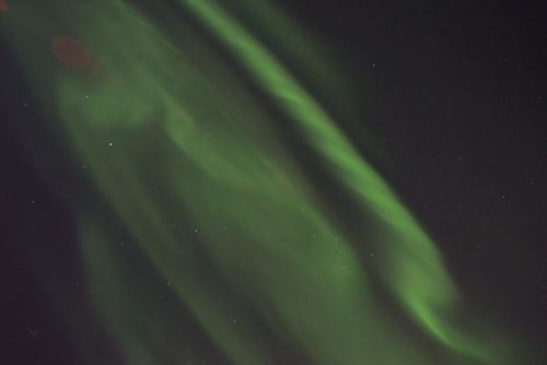 DSCF0263