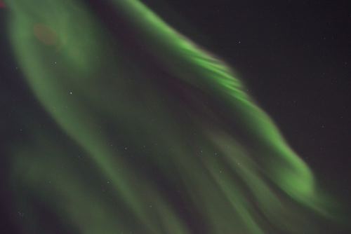 DSCF0266