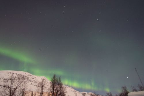 DSCF0274