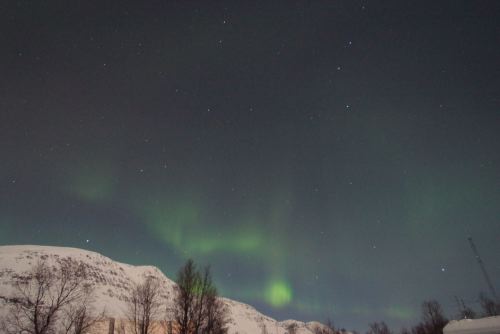 DSCF0276