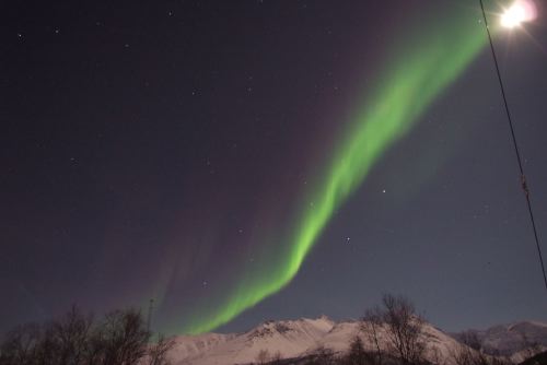 DSCF0192