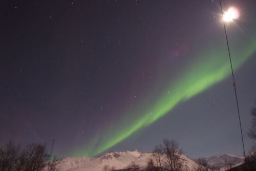 DSCF0205