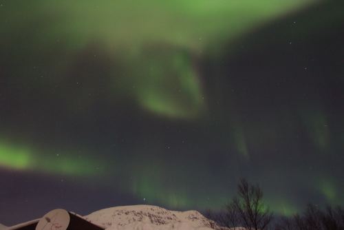 DSCF0240