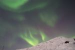 DSCF0278