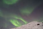 DSCF0280