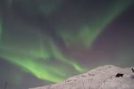 DSCF0282