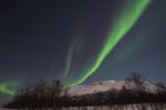 DSCF0184