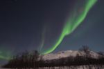 DSCF0186