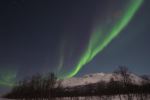 DSCF0187