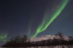 DSCF0188