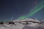 DSCF0207