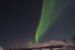 DSCF0155