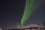 DSCF0156