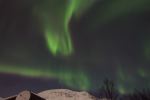 DSCF0238