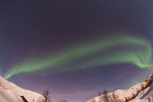 DSCF0356