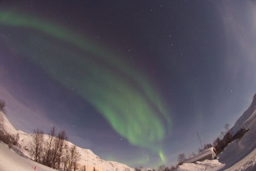 DSCF0362