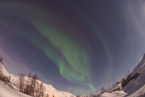 DSCF0372