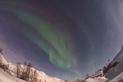 DSCF0374