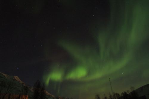 DSCF0443