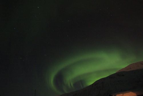 DSCF0540