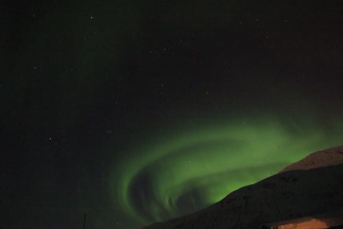 DSCF0541