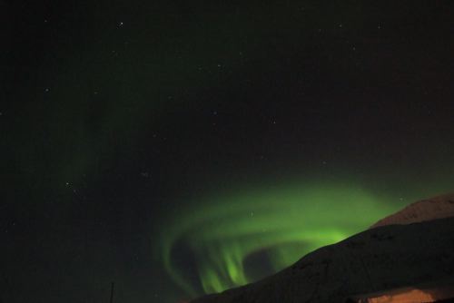 DSCF0546
