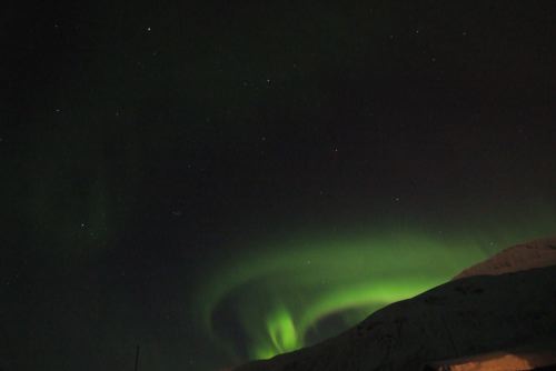 DSCF0551
