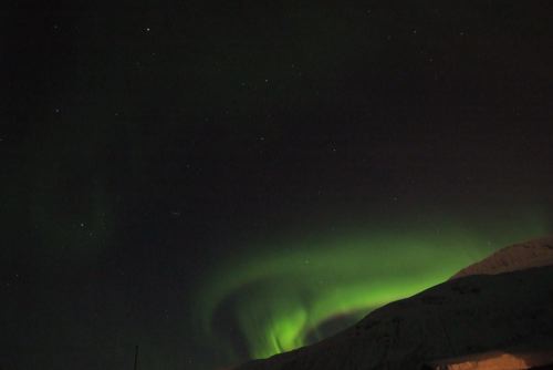 DSCF0553