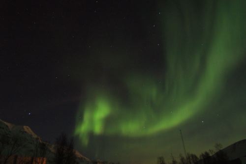 DSCF0446