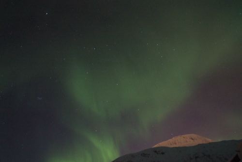 DSCF0566