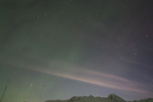 DSCF0571