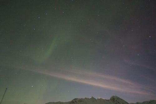 DSCF0574