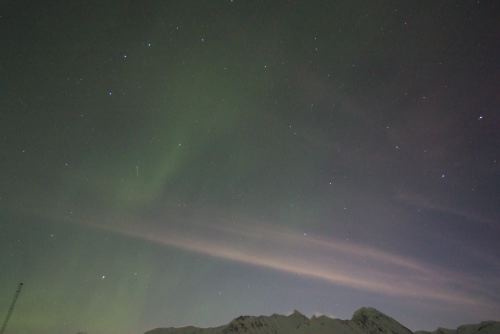 DSCF0575
