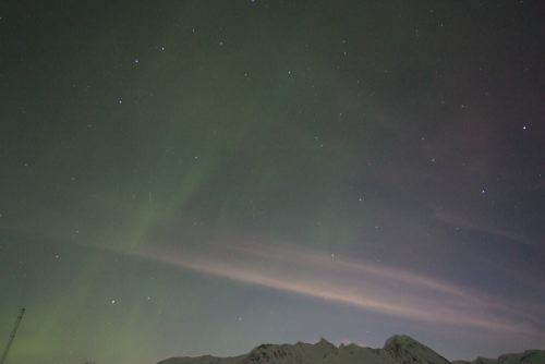 DSCF0576