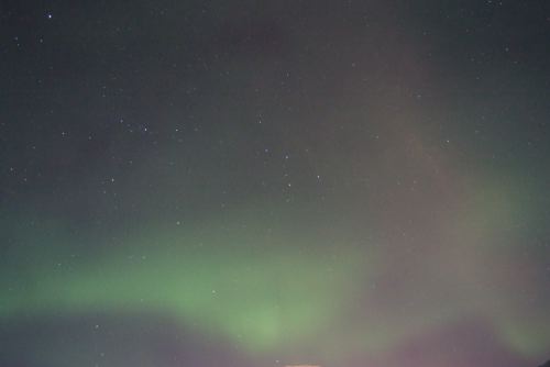 DSCF0577
